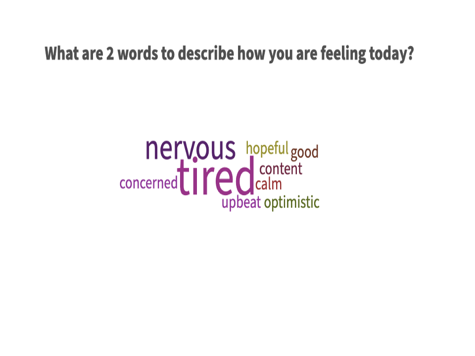 epi207 word cloud 2 W22
