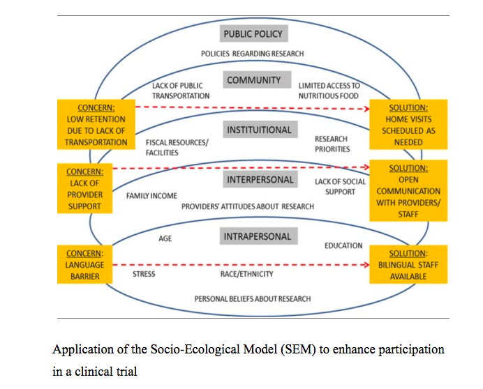 Attachment SEM .png